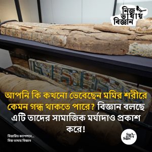 আপনি কি কখনো ভেবেছেন মমির শরীরে কেমন গন্ধ থাকতে পারে?