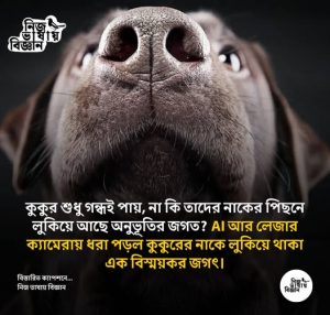 কুকুর কি দেখে না, শুধু গন্ধই পায়?