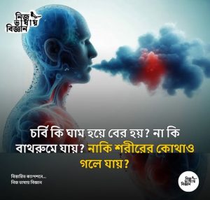 চর্বি কি ঘাম হয়ে শরীর থেকে বের হয়?